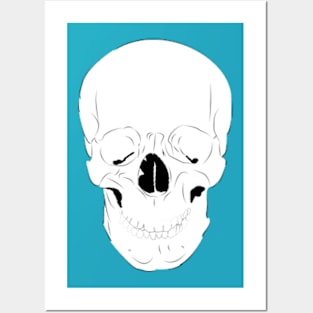 Skull Sketch Posters and Art